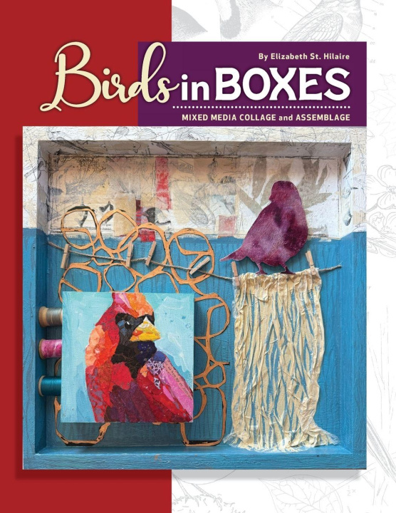 Kniha Birds in Boxes Elizabeth J St Hilaire