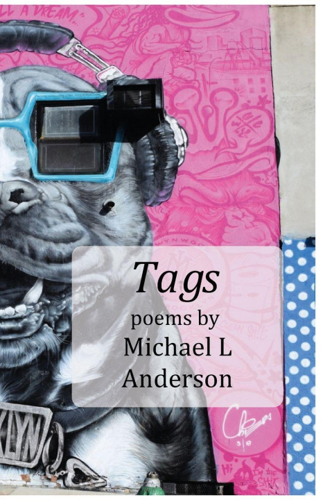 Kniha Tags Michael L Anderson