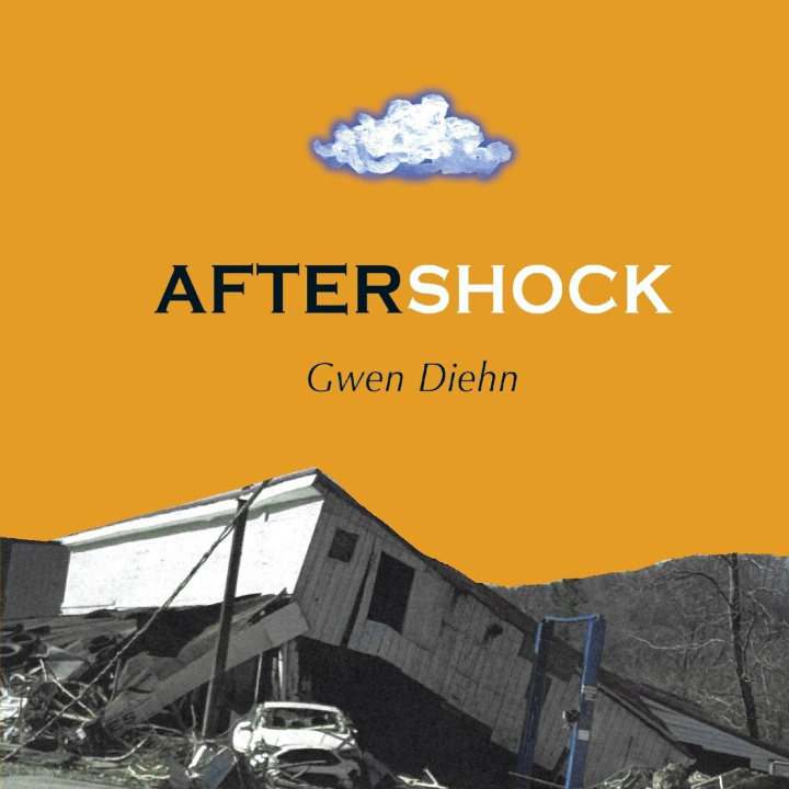 Kniha AfterShock Gwen Diehn