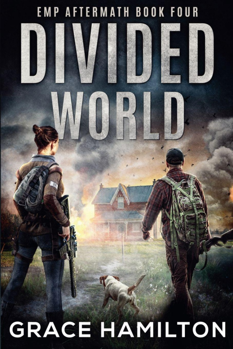 Knjiga Divided World Grace Hamilton