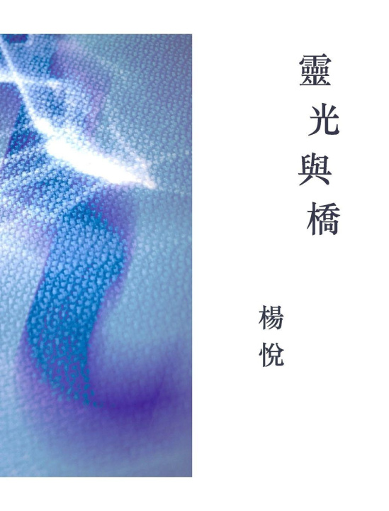 Knjiga Aura And Bridge Jane Yang