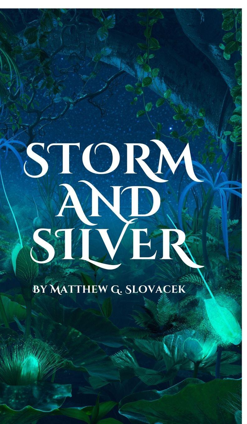 Knjiga Storm and Silver Matthew G Slovacek