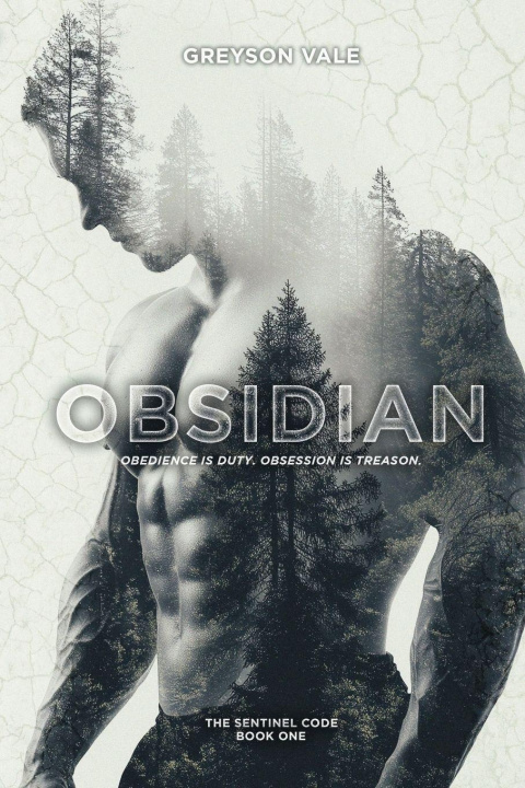 Kniha Obsidian Greyson Vale