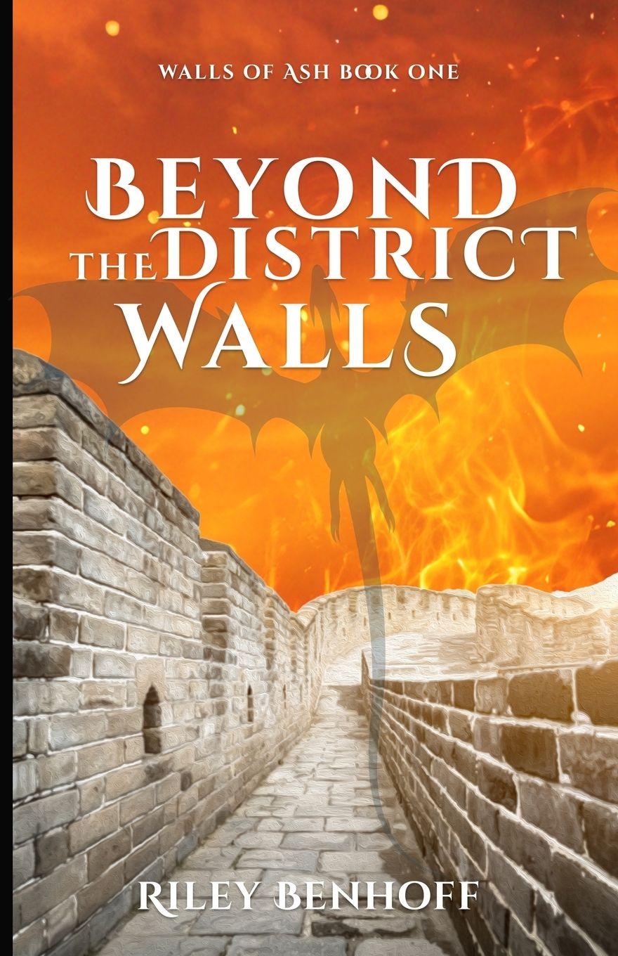Knjiga Beyond the District Walls Riley Benhoff