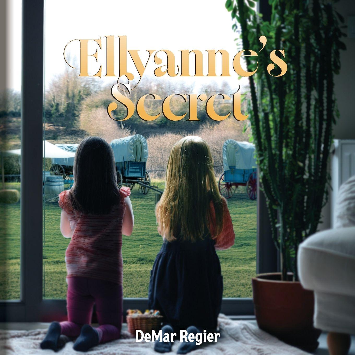 Boek Ellyanne's Secret DeMar Regier