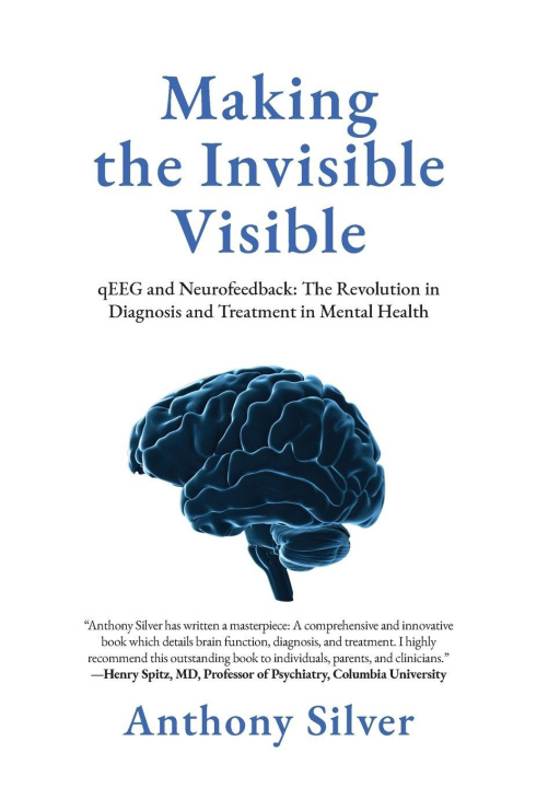 Kniha Making the Invisible Visible Anthony Silver