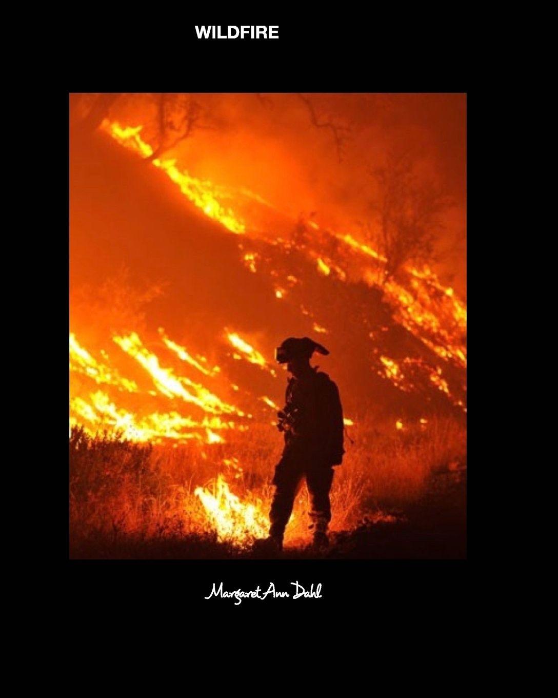Kniha Wildfire Margaret Ann Dahl
