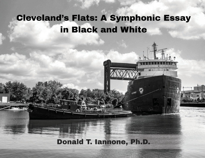 Книга Cleveland's Flats Donald T Iannone