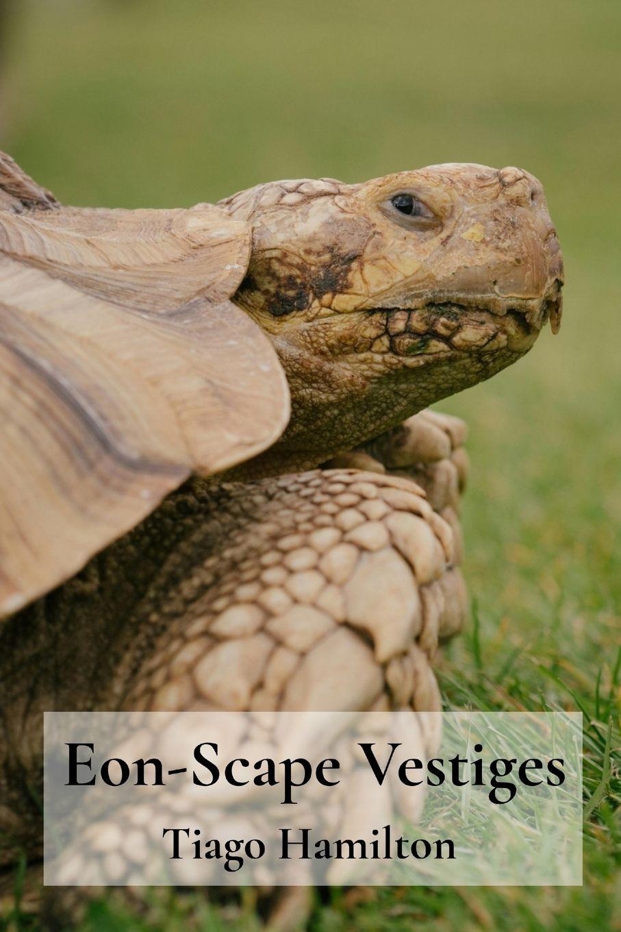 Kniha Eon-Scape Vestiges Tiago Hamilton