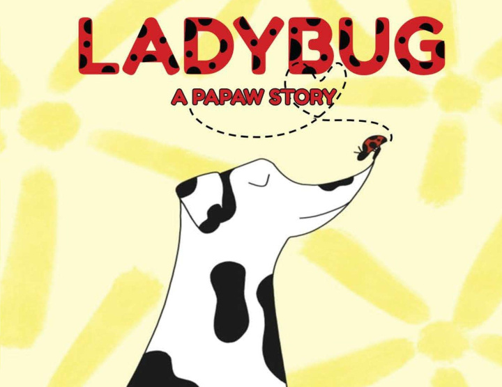 Knjiga Ladybug a Papaw Story Adley Westerfield