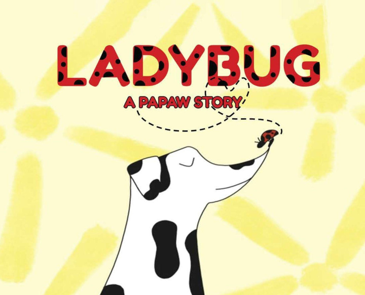 Knjiga Ladybug a Papaw Story Westerfield