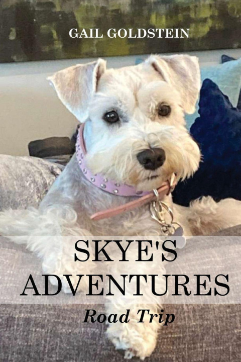 Kniha Skye's Adventures Gail M. Goldstein
