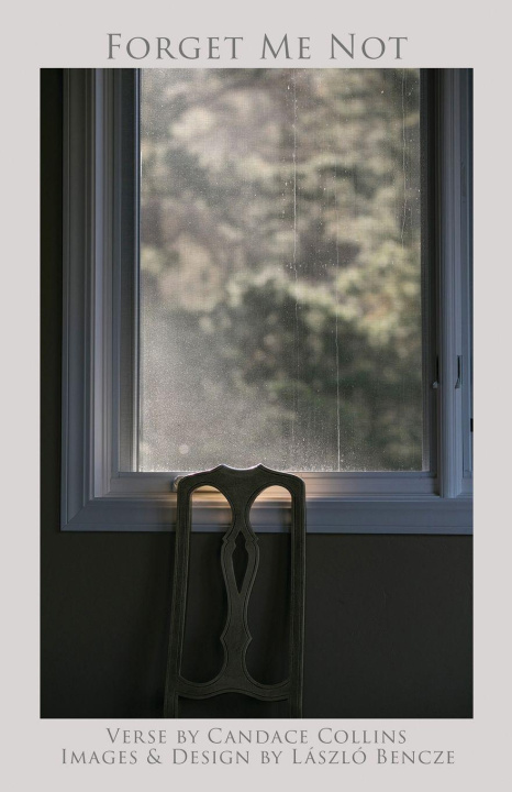 Kniha Forget Me Not Candace Collins
