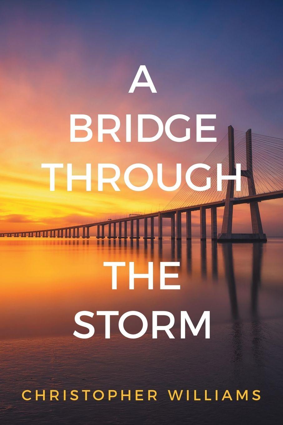 Knjiga A Bridge Through the Storm Christopher Williams