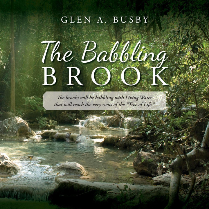Knjiga The Babbling Brook Glen A. Busby
