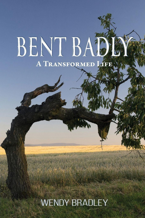Kniha Bent Badly Wendy Bradley