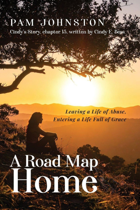Kniha A Road Map Home Pam Johnston