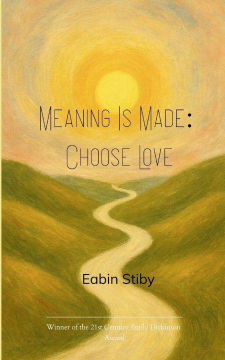 Kniha Meaning Is Made Eabin Stiby