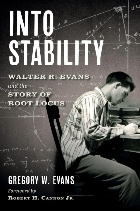 Kniha Into Stability Gregory Walter Evans