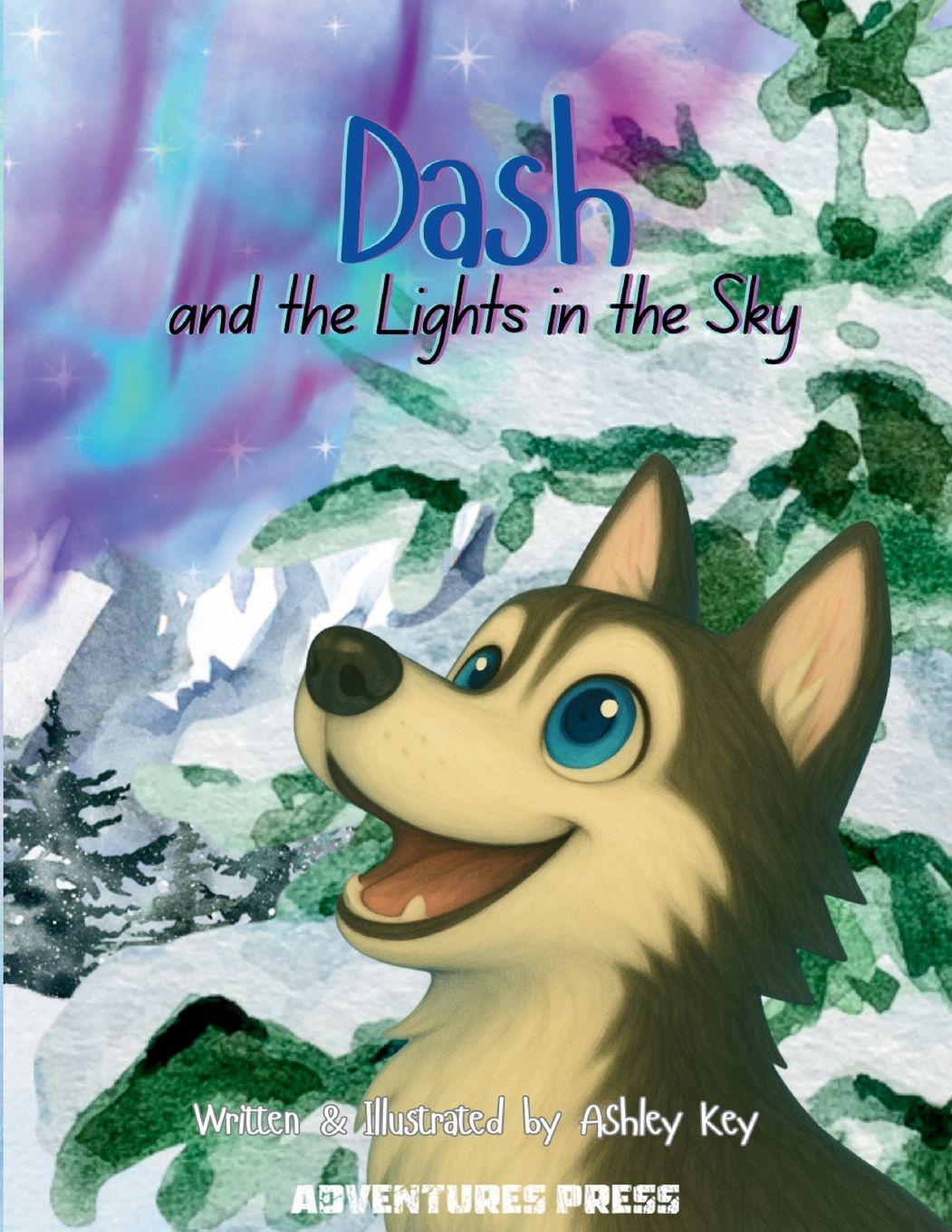 Kniha Dash and the Lights in the Sky Ashley Key