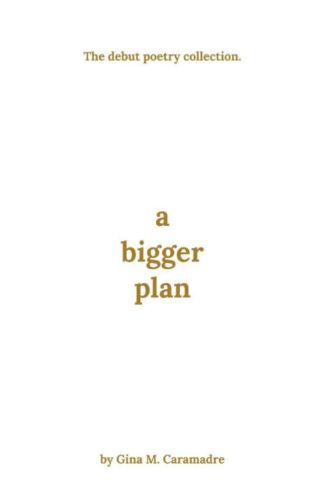 Kniha A Bigger Plan Gina M Caramadre