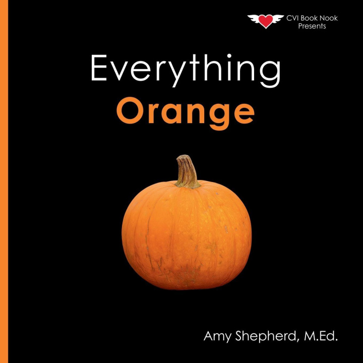 Kniha Everything Orange Rachel Worden