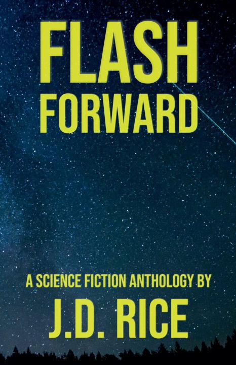Kniha Flash Forward J.D. Rice