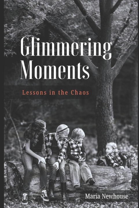 Knjiga Glimmering Moments Maria Newhouse