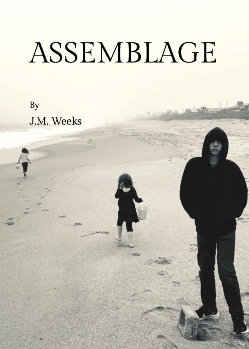 Kniha Assemblage John M. Weeks
