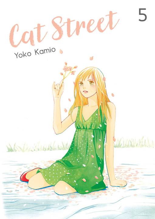 Kniha Cat Street. Tom 5 Yoko Kamio