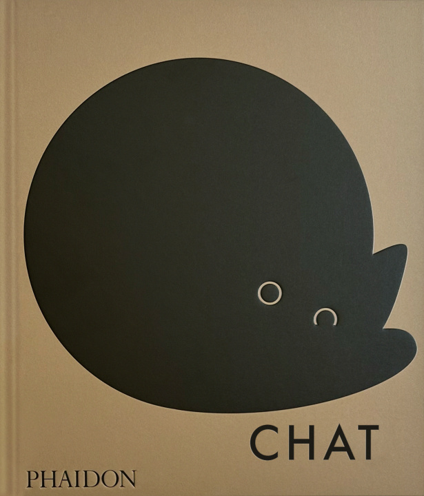Kniha Chat SHAW H/JARBOUAI L