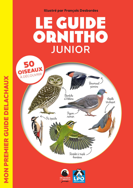 Kniha Le Guide ornitho junior LPO