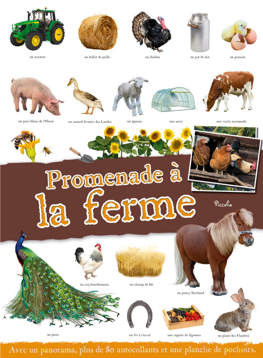 Buch La ferme Berthon