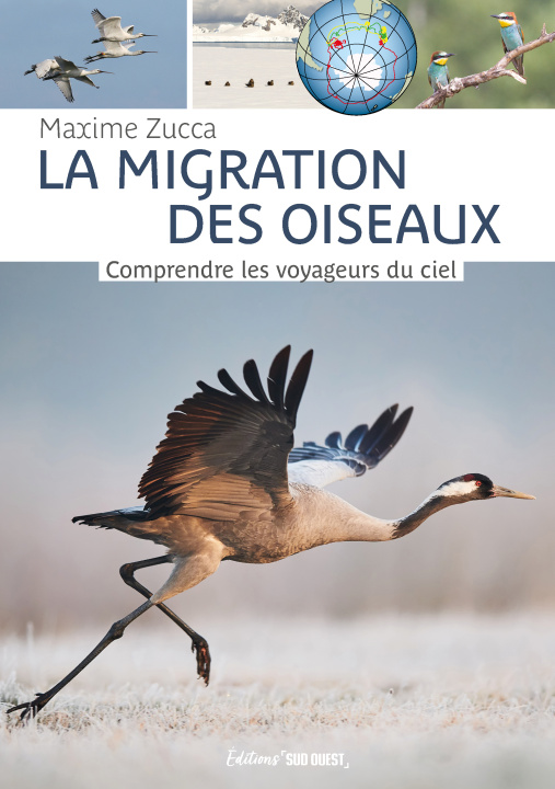 Boek La migration des oiseaux Maxime Zucca