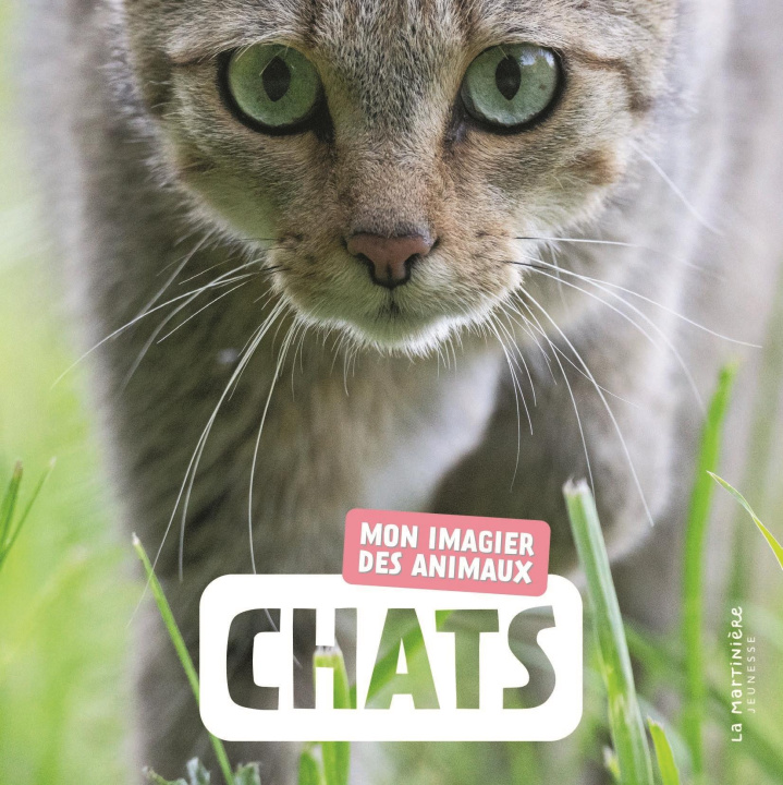 Libro Chats Naturagency