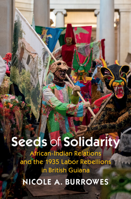 Kniha Seeds of Solidarity Nicole A. Burrowes