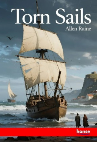 Knjiga Torn Sails Allen Raine