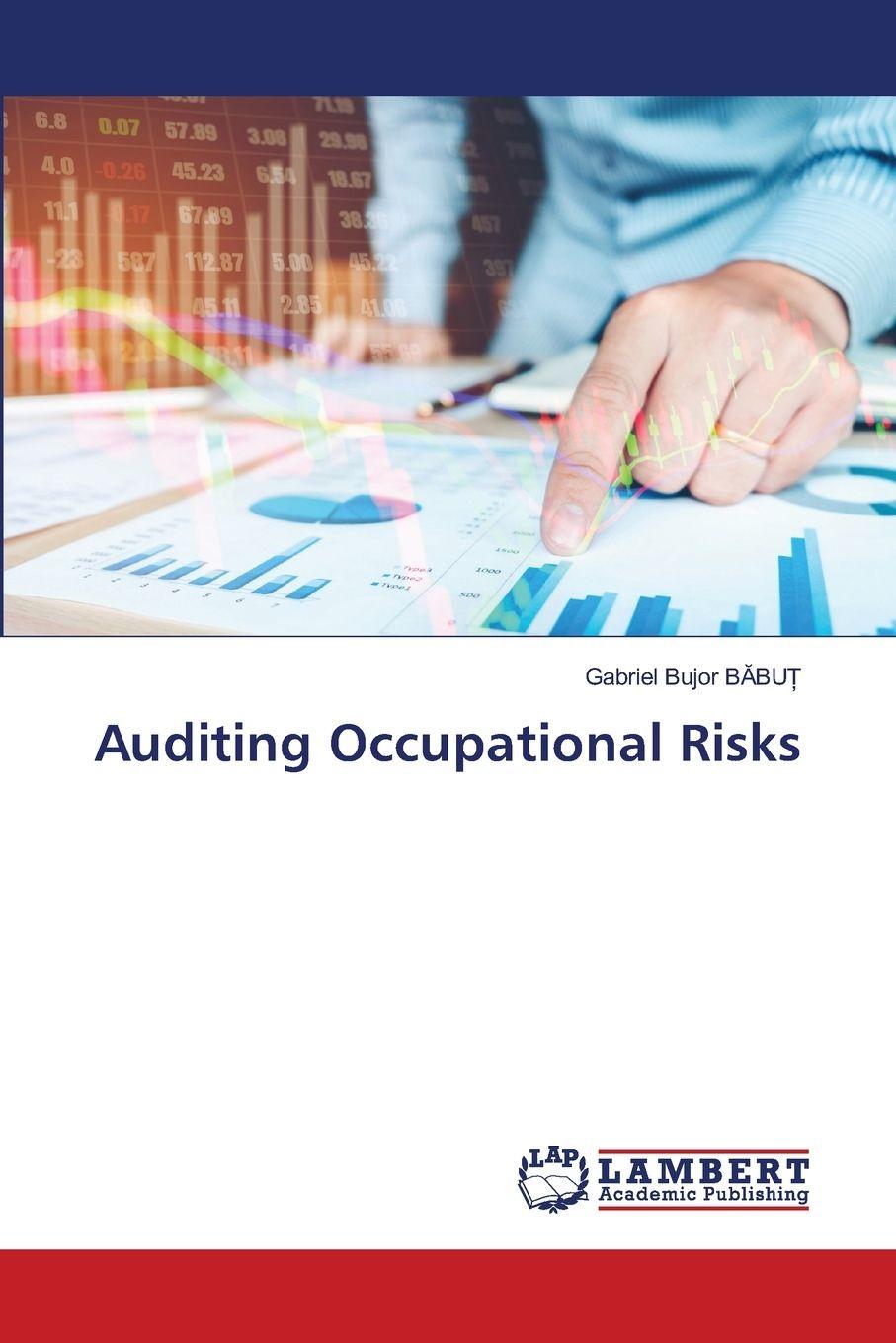 Kniha Auditing Occupational Risks Gabriel Bujor BABU_