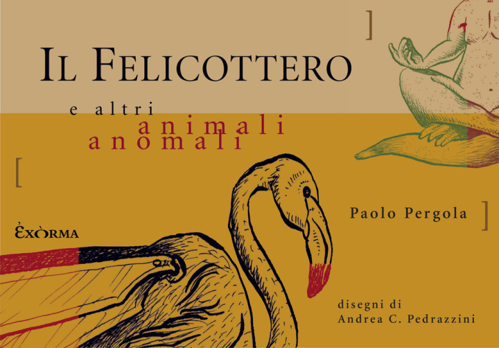 Książka felicottero e altri animali anomali Paolo Pergola