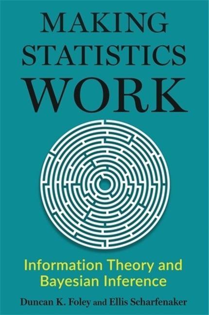 Kniha Making Statistics Work Duncan Foley