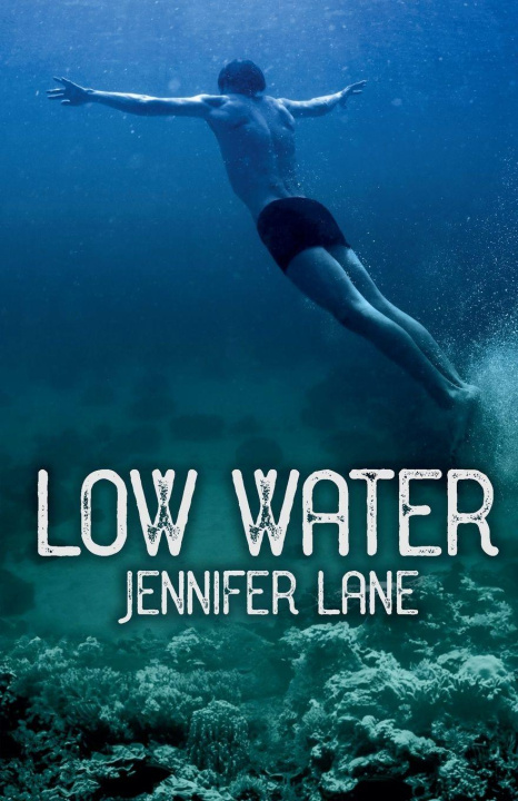 Boek Low Water Jennifer Lane