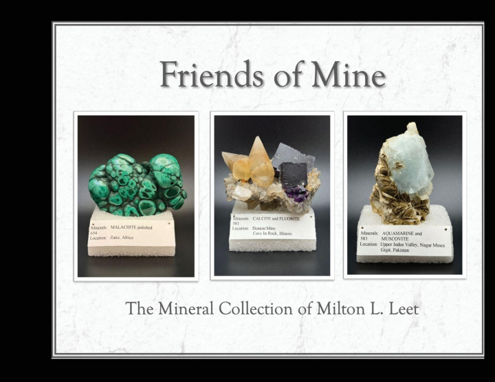 Knjiga Friends of Mine Milton Leet