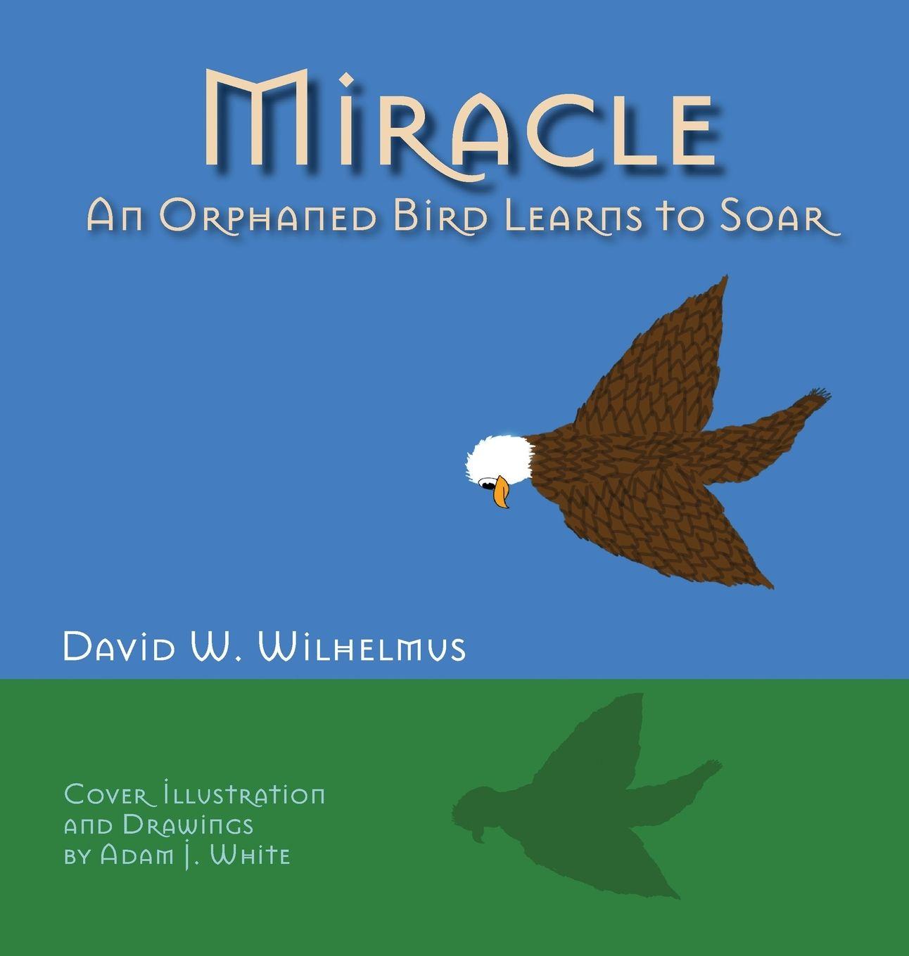 Kniha Miracle David W. Wilhelmus
