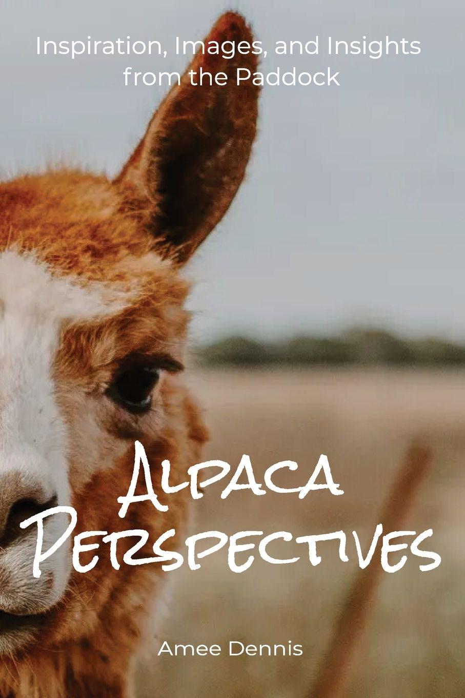Kniha Alpaca Perspectives Amee Dennis