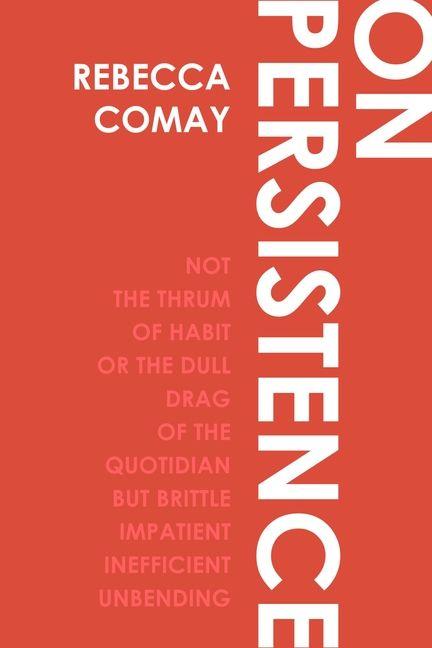 Buch On Persistence Rebecca Comay