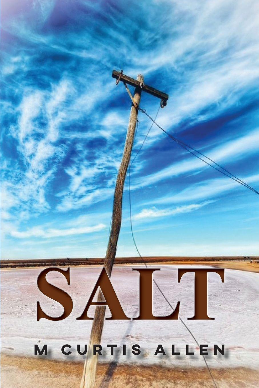 Buch Salt M Curtis Allen