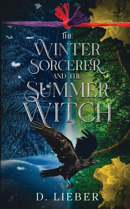 Knjiga The Winter Sorcerer and the Summer Witch D. Lieber