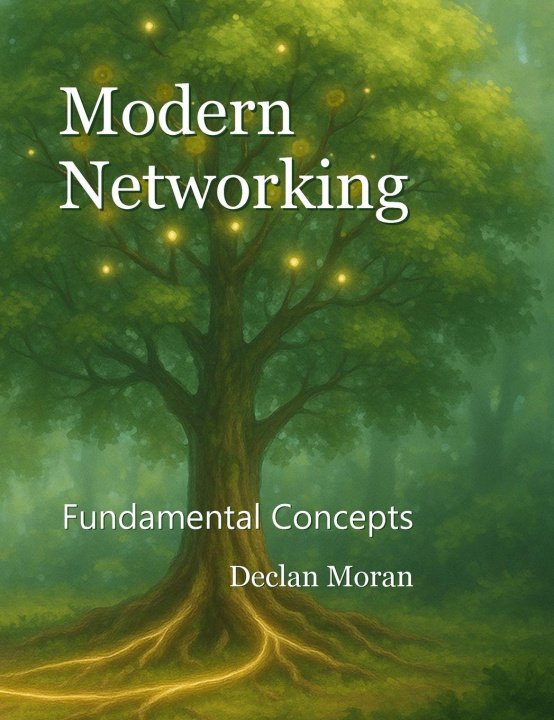 Kniha Modern Networking Declan Moran