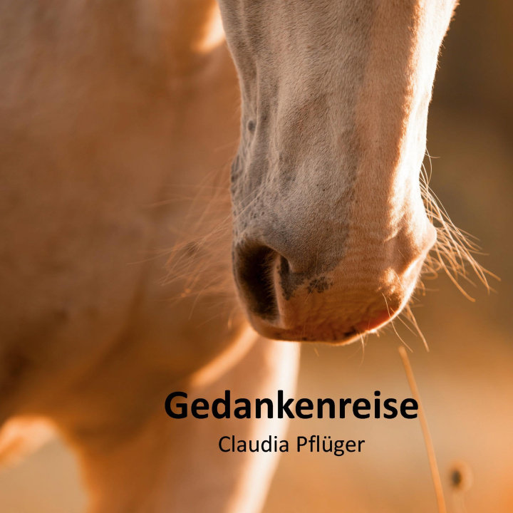Книга Gedankenreise 