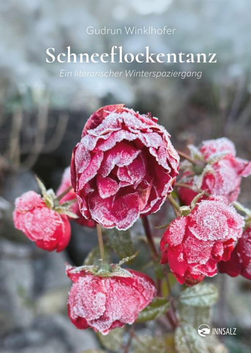 Kniha Schneeflockentanz 
